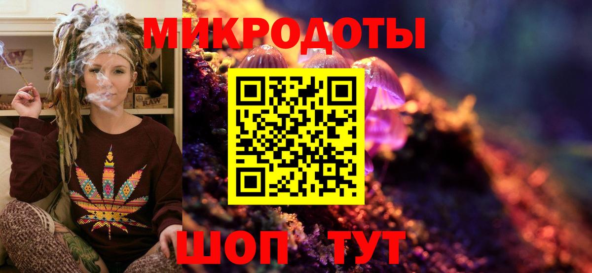 Галлюциногенные грибы Psilocybine cubensis  Псилоцибиновые грибы MAGIC MUSHROOMS  Вход с VPN  Богданович 